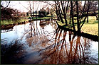 parc de moine en automne