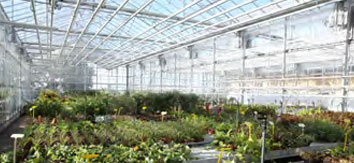 CMJ - Direction Parcs, Jardins et Paysage