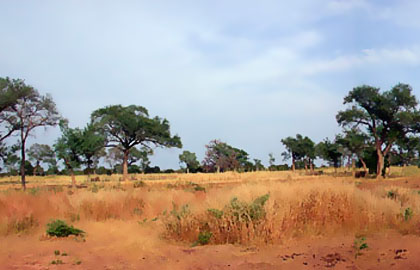 Sao - Burkina Faso