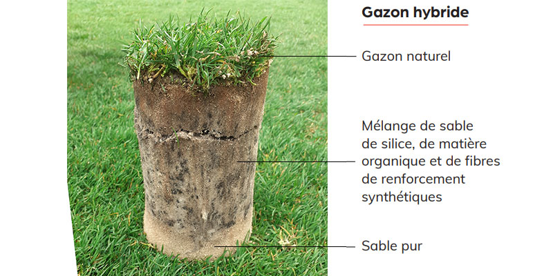 Composition d'un gazon hybride : gazon naturel / mélange de sable de silice, de matière organique et de fibres de renforcement synthétiques / sable pur