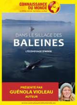 Connaissance du monde : Dans le sillage des baleines