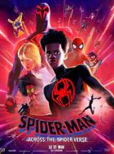 Spider-Man : Across The Spider-Verse