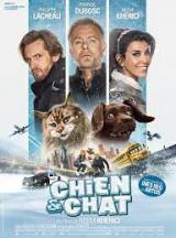 Chien et Chat