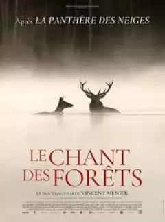 Le chant des forêts