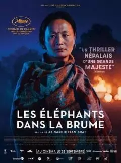 Les éléphants dans la brume