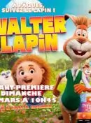 Walter lapin